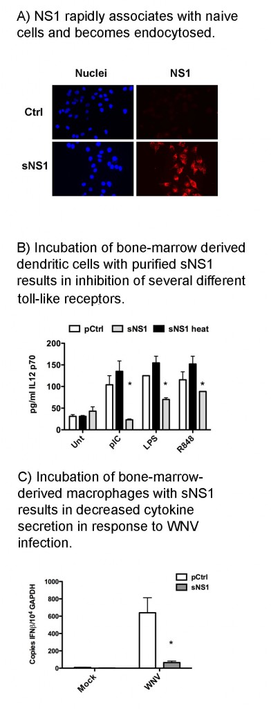 Highlights blog Crook et al